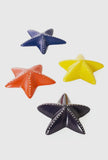 Starfish of Kisii