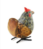 Little Chicken of Jacaranda