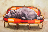 Wildlife at Leisure