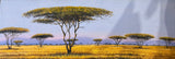 “Acacia Canopy” by Wycliffe Ndwiga