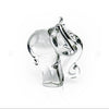 Ngwenya Glass Elephant