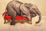 Wildlife at Leisure