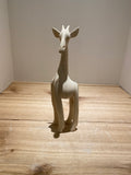 Smooth Giraffe of Jacaranda