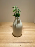 Bottle Vase of Kisii