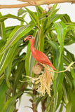 Flamingo on a Branch Ornament