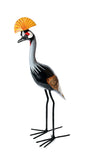 Painted Crowned Crane of Jacaranda