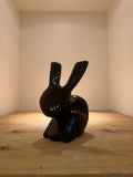 “Tiny Bunny” by Cephas Mukundi