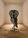 AM Side-Eyed Owl by Archie Mutsiko