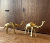 Bronze Elephant