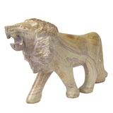 GC Wildlife Range of Natural Kisii