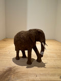 Namib Desert Elephant Carving