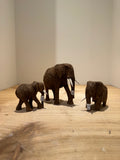 Namib Desert Elephant Carving