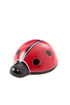 Ladybug of Kisii