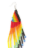 Pride & Joy Rainbow Fringe Earrings