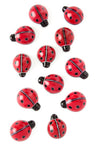 Ladybug of Kisii