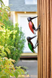 Woodpecker of Upcycled Metal
